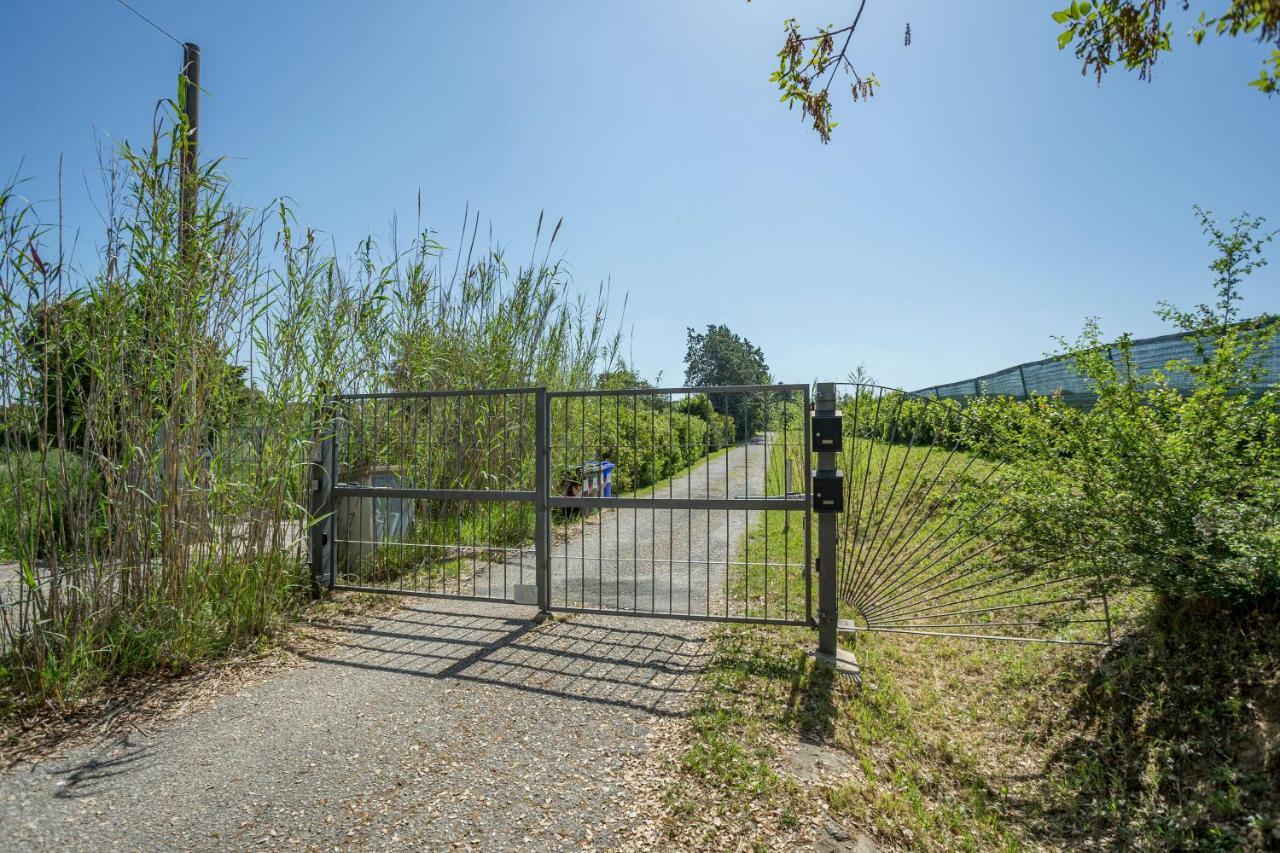 Podere Belvedere Ліворно Екстер'єр фото