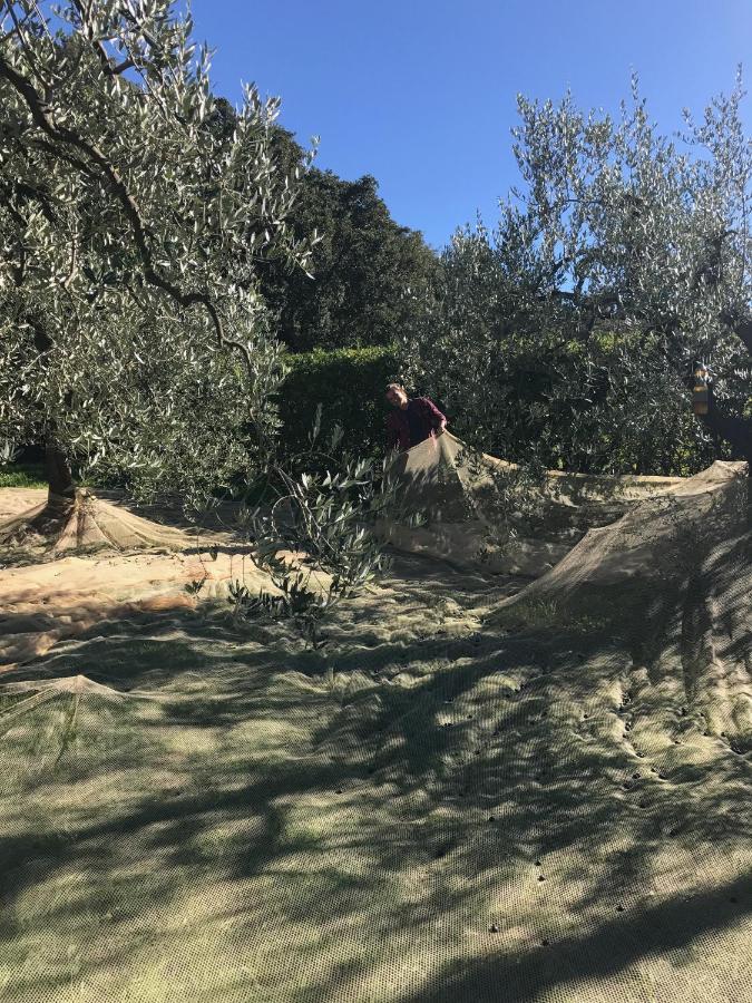 Podere Belvedere Ліворно Екстер'єр фото