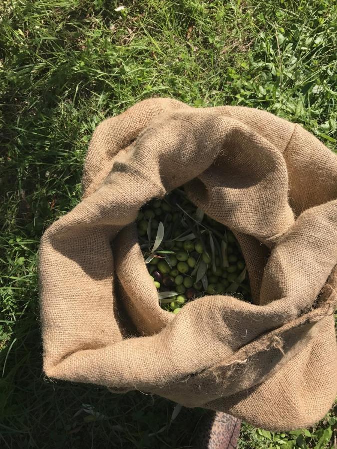 Podere Belvedere Ліворно Екстер'єр фото
